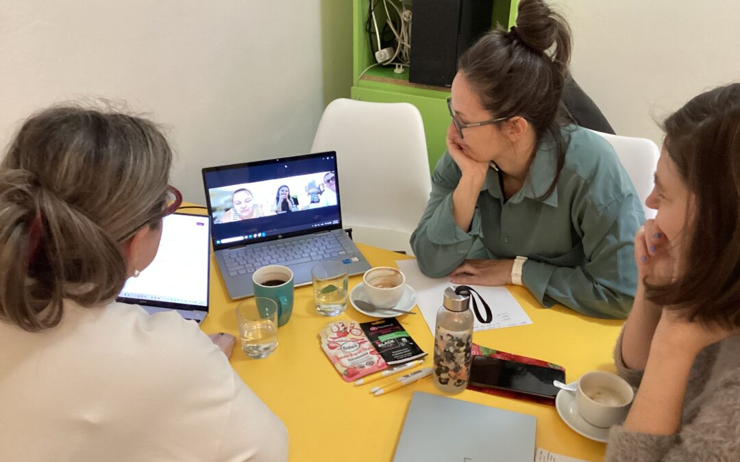 GENDEQ meeting in Czechia